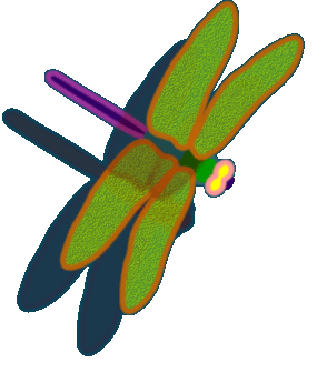 dragonfly